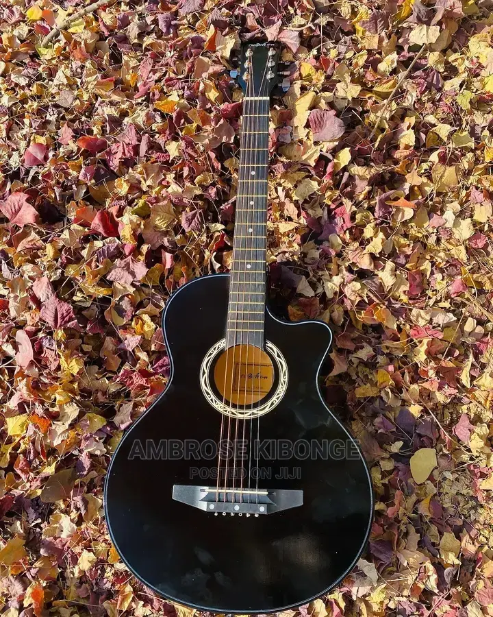 High Quality Si Audio Multicolored 38inch Acoustic Guitars.