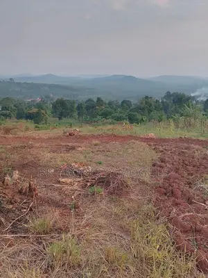 50ft×100ft Titled Plots for Sale at Katende Kavule Mpigi at 15m