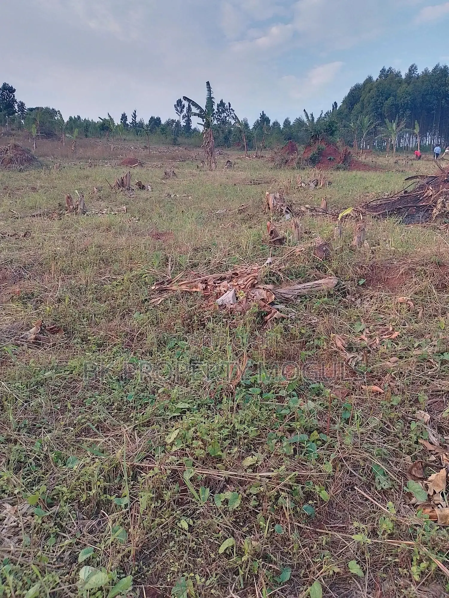 50ft×100ft Titled Plots for Sale at Katende Kavule Mpigi at 15m