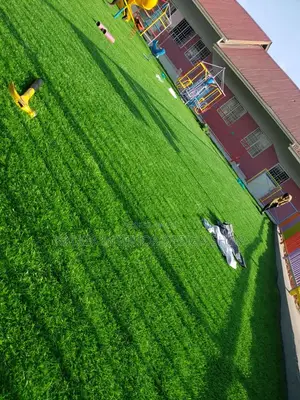 Grass Carpet/Grass Carpet/Grass Carpet