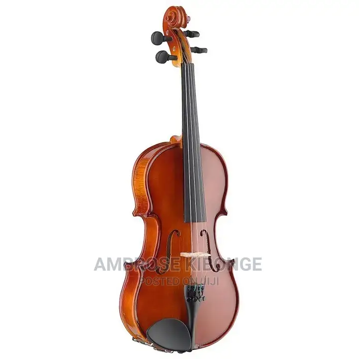 Top-Quality Generic Professional 4/4 Full Size Violin