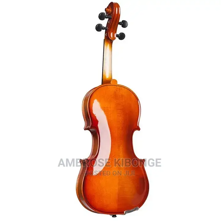 Top-Quality Generic Professional 4/4 Full Size Violin