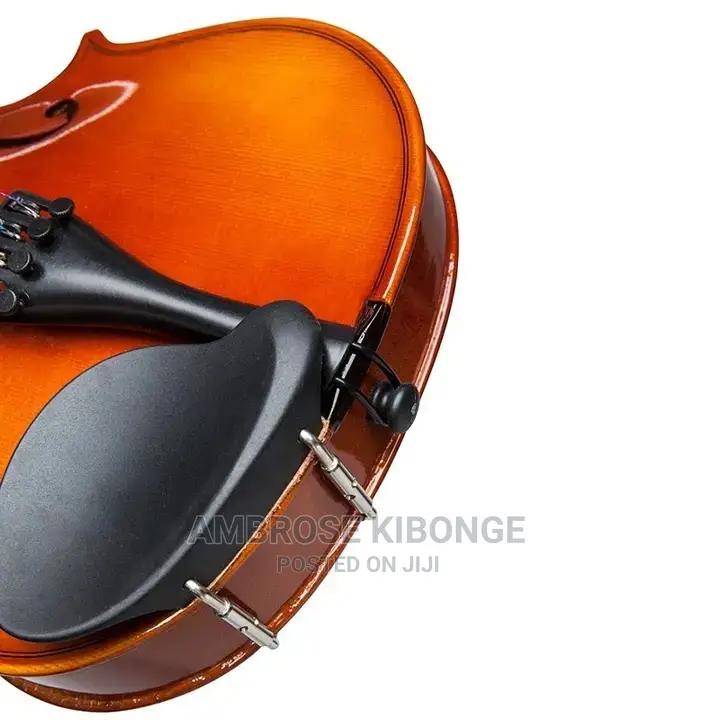 Top-Quality Generic Professional 4/4 Full Size Violin
