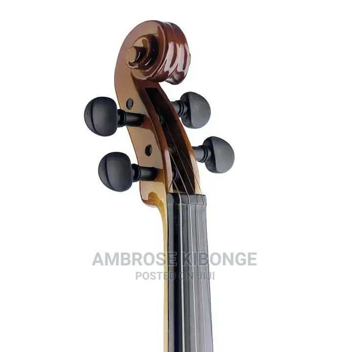 Top-Quality Generic Professional 4/4 Full Size Violin