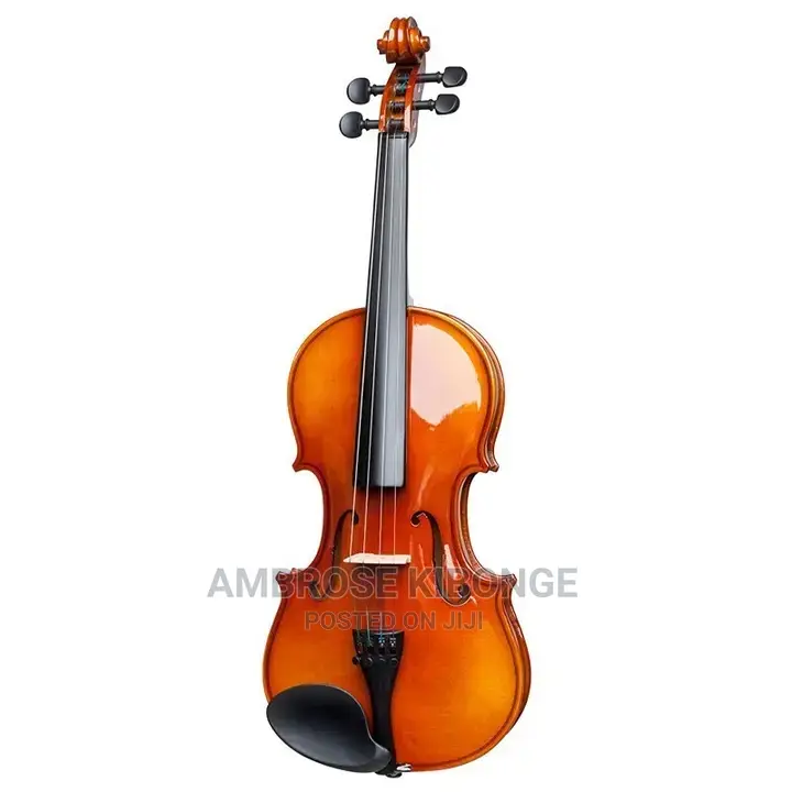 Top-Quality Generic Professional 4/4 Full Size Violin