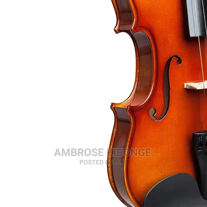 Top-Quality Generic Professional 4/4 Full Size Violin