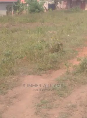 Land for Sale in Seeta Bajjo