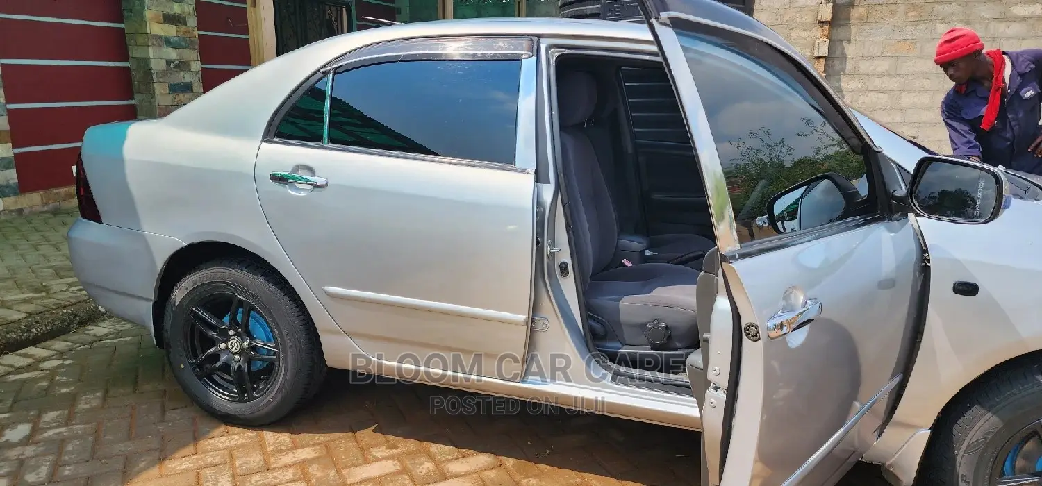 Car Body Restoration, Spraying T-Cut