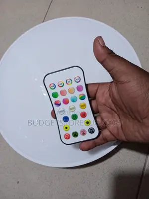 Bulb Lamp Smart Ceiling