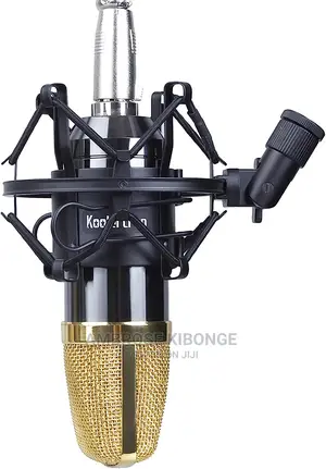 High Quality Portable Shock Mount for Studio Microphones.