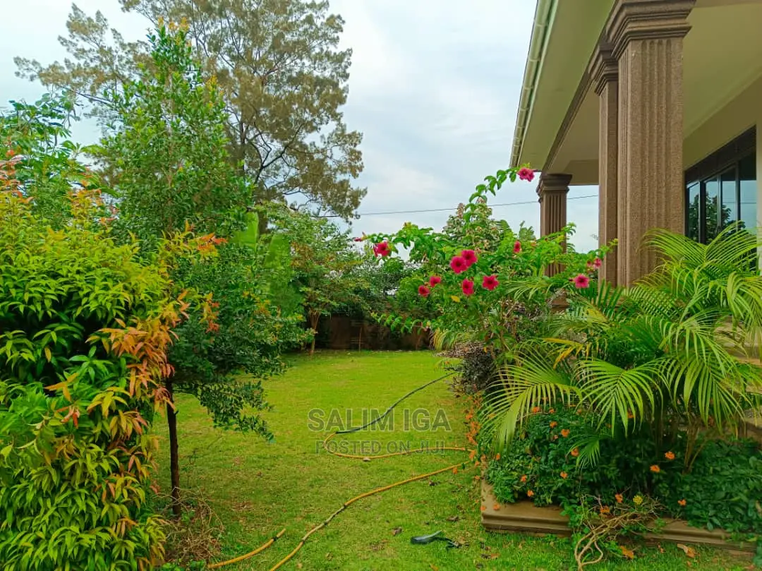 3bdrm Bungalow in Kololo Property, Central Division for rent