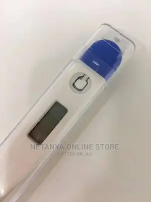 Digital Body Thermometer