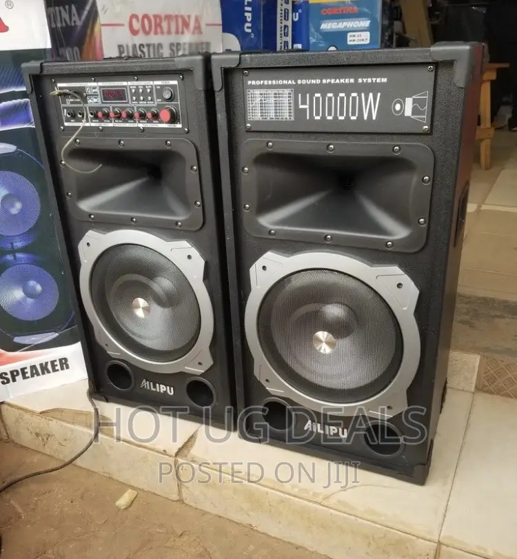 Ailipu Amplified Public Address Speaker With Mic-black