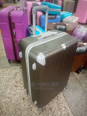 Executive Plastic Suitcase. Medium (Gray).
