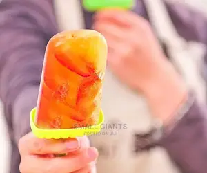 Popsicles Molds, Set of 6 Ice Pop Molds,