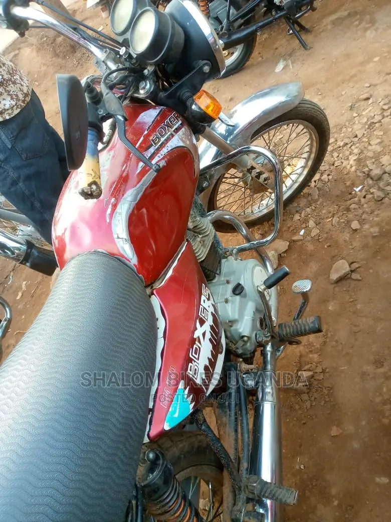 Focin 100cc 2019 Gold