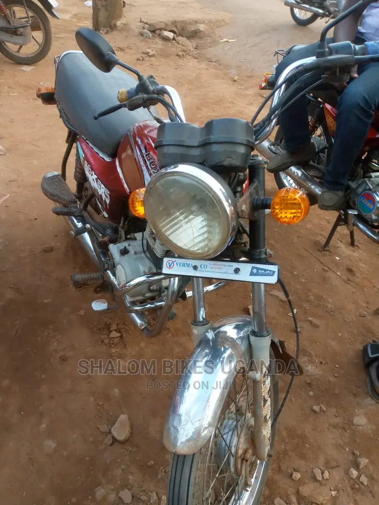Focin 100cc 2019 Gold