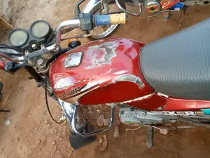 Focin 100cc 2019 Gold