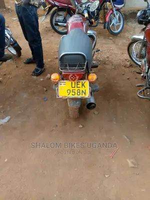 Focin 100cc 2019 Gold