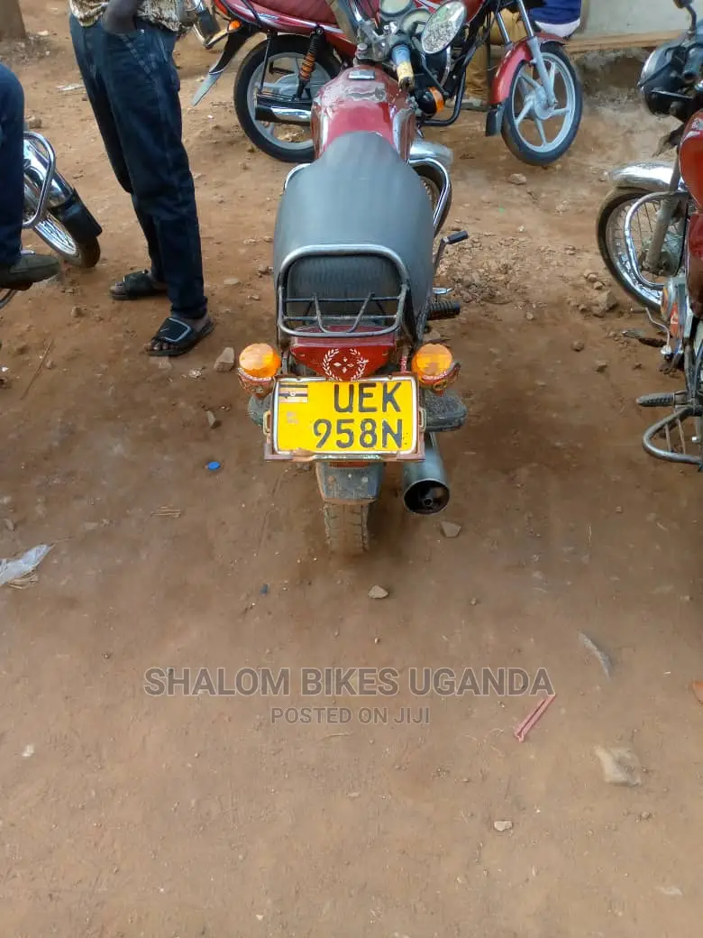 Focin 100cc 2019 Gold