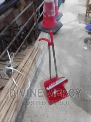 Dust Pan With Abroom