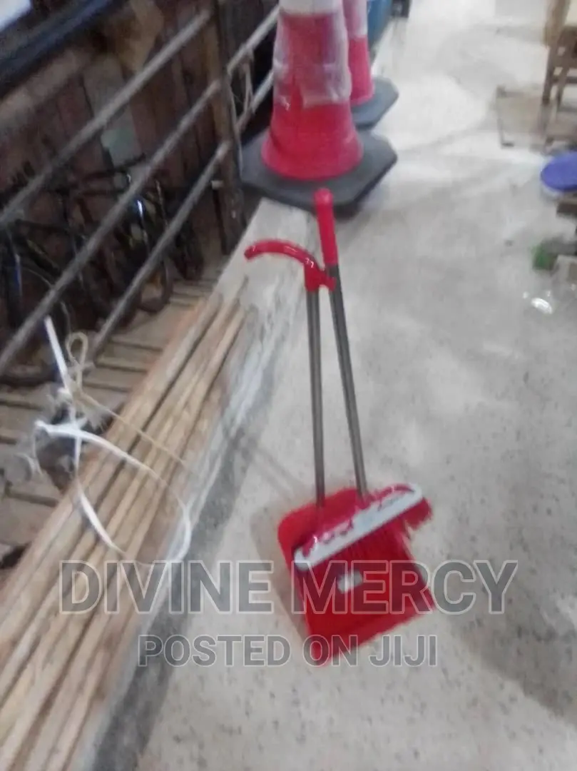 Dust Pan With Abroom