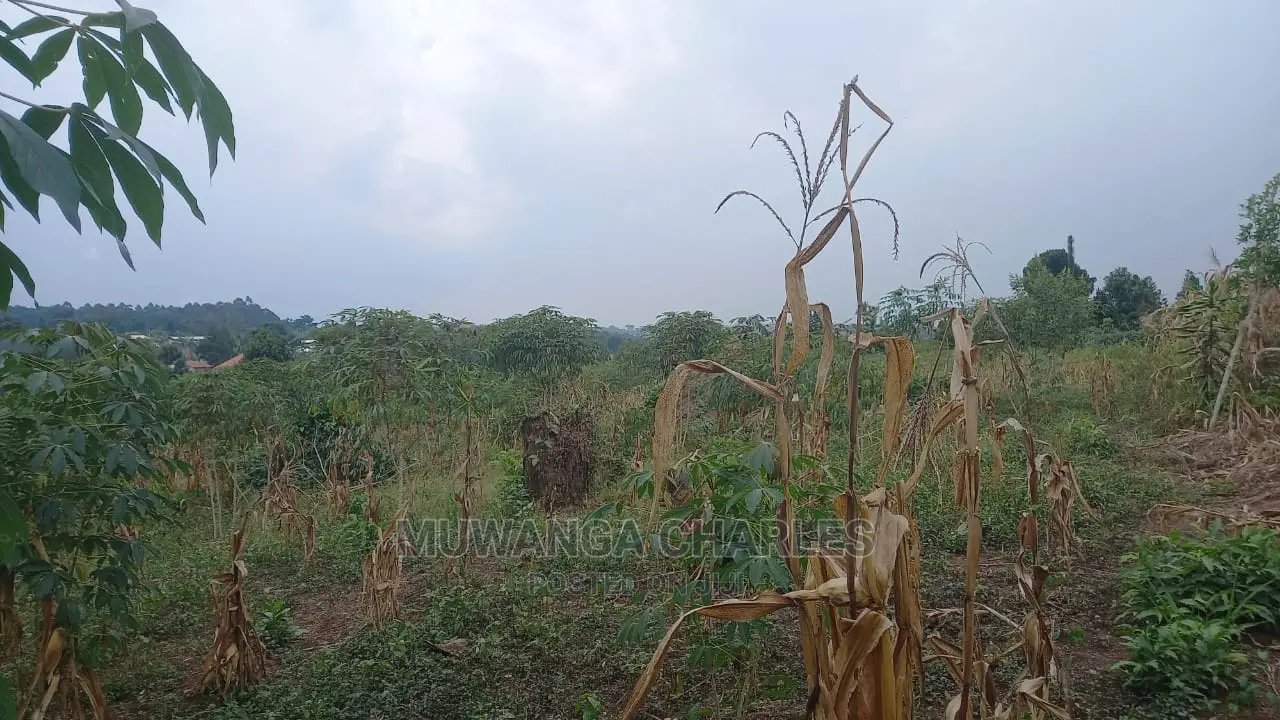 5acres of Land Available for Sale in Kikyusa