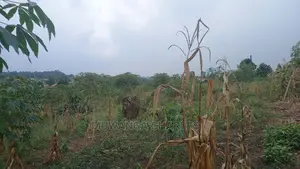 5acres of Land Available for Sale in Kikyusa