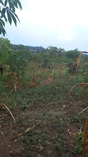5acres of Land Available for Sale in Kikyusa
