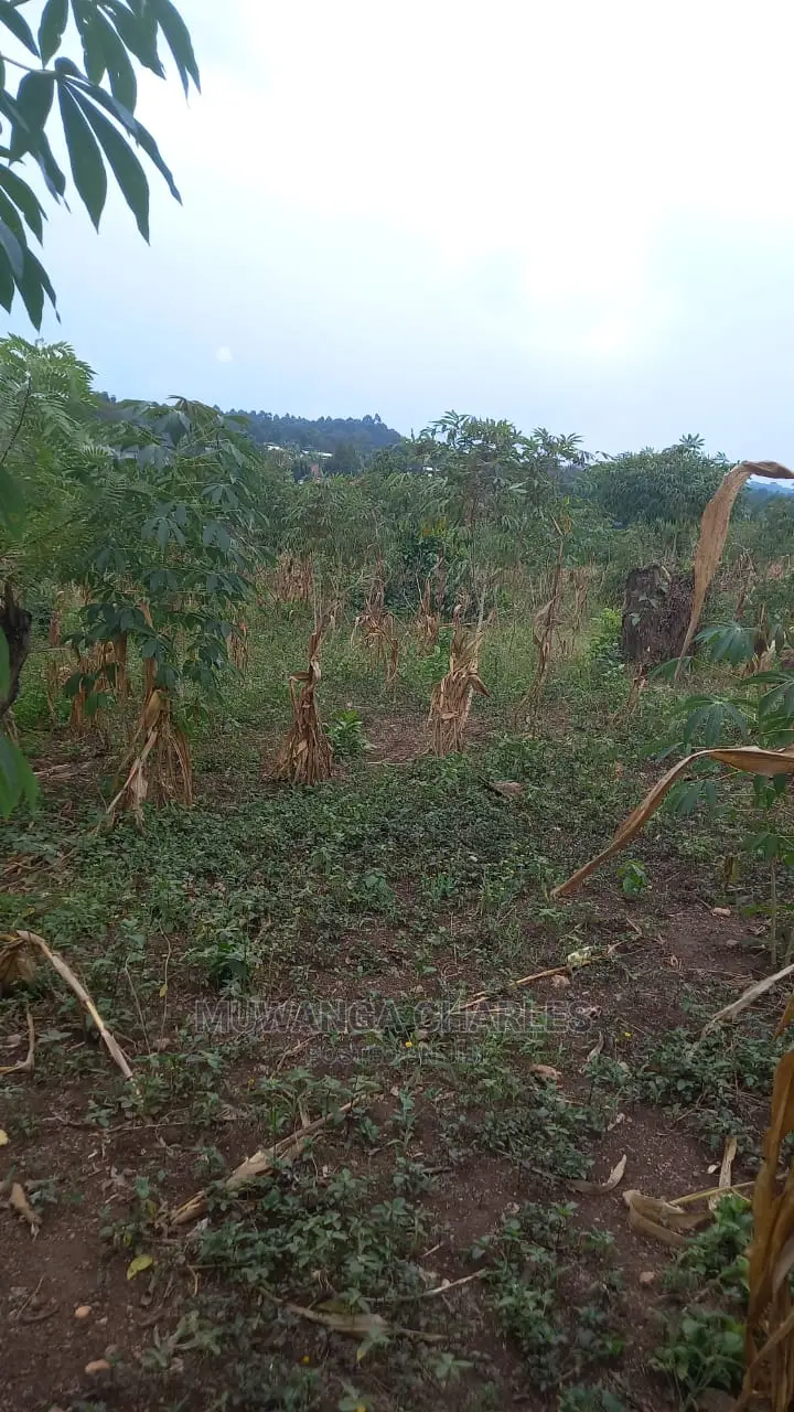 5acres of Land Available for Sale in Kikyusa