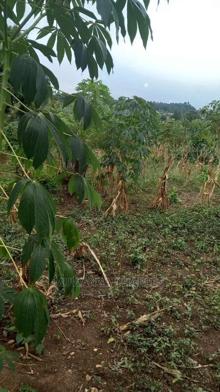5acres of Land Available for Sale in Kikyusa