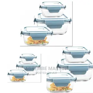 Glass Food Lock Container