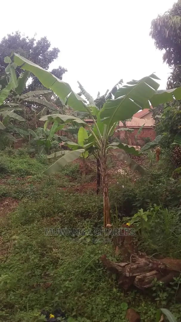 Plot's for Sale in Gayaza