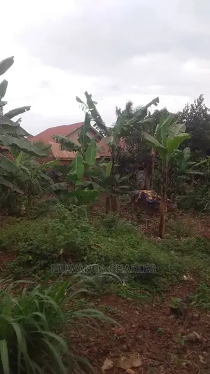 Plot's for Sale in Gayaza