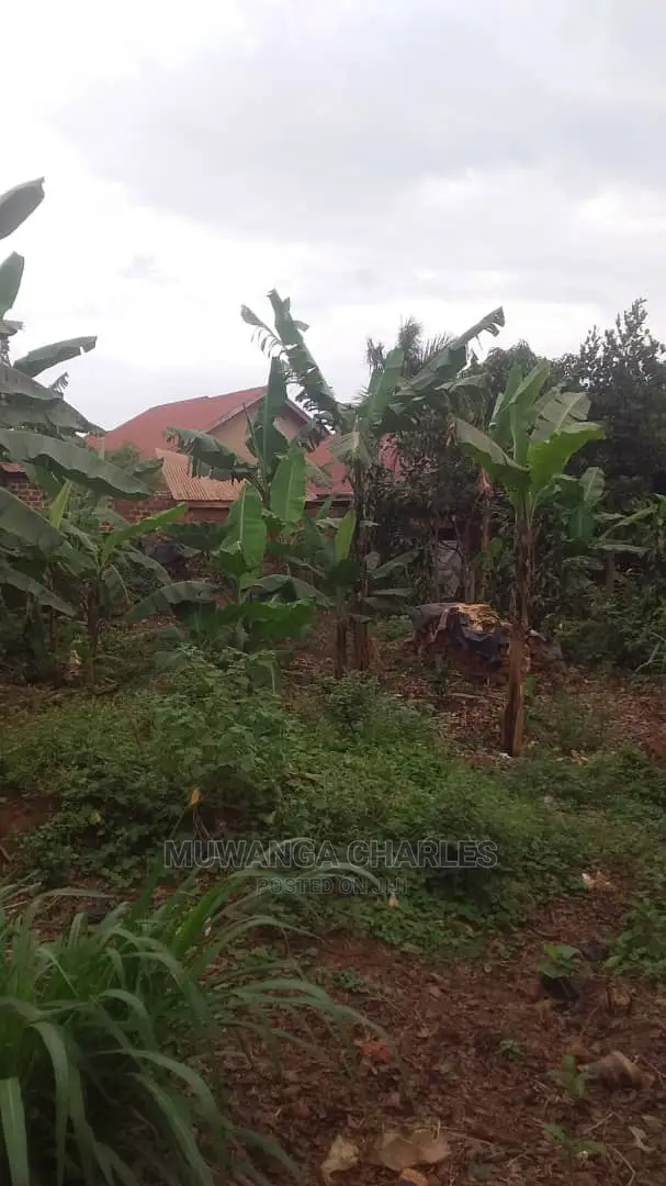 Plot's for Sale in Gayaza
