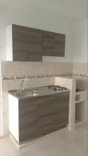 Stunning and Executive Kitchen Cabinets.