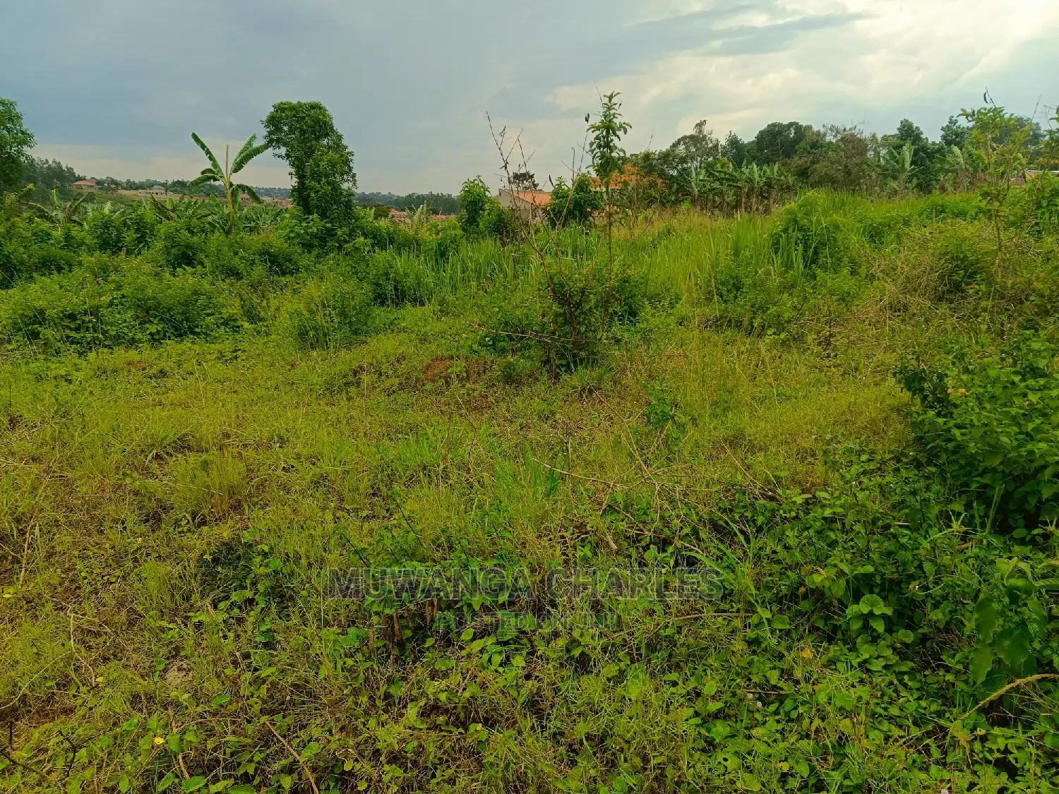 Plot for Sale in Gayaza Nakwero