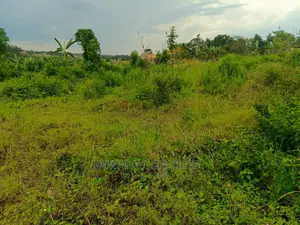 Plot for Sale in Gayaza Nakwero