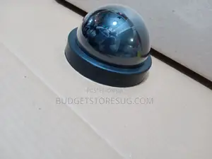 Fake Security Camera