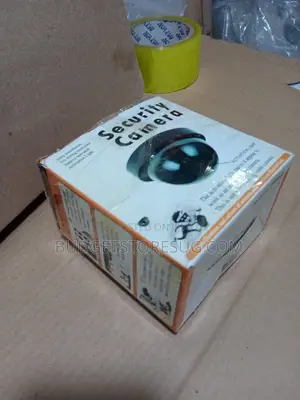 Indoor Outdoor False Hemisphere Camera