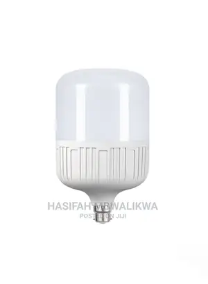 40W LED Bulb- Pin and Screw