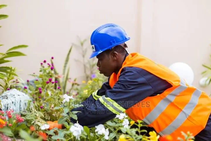 K&R Sure Real Cleaning Services And Fumigation We Are Ready To Provide