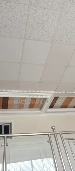 Gypsum Ceiling and Suspended Ceiling Well Done