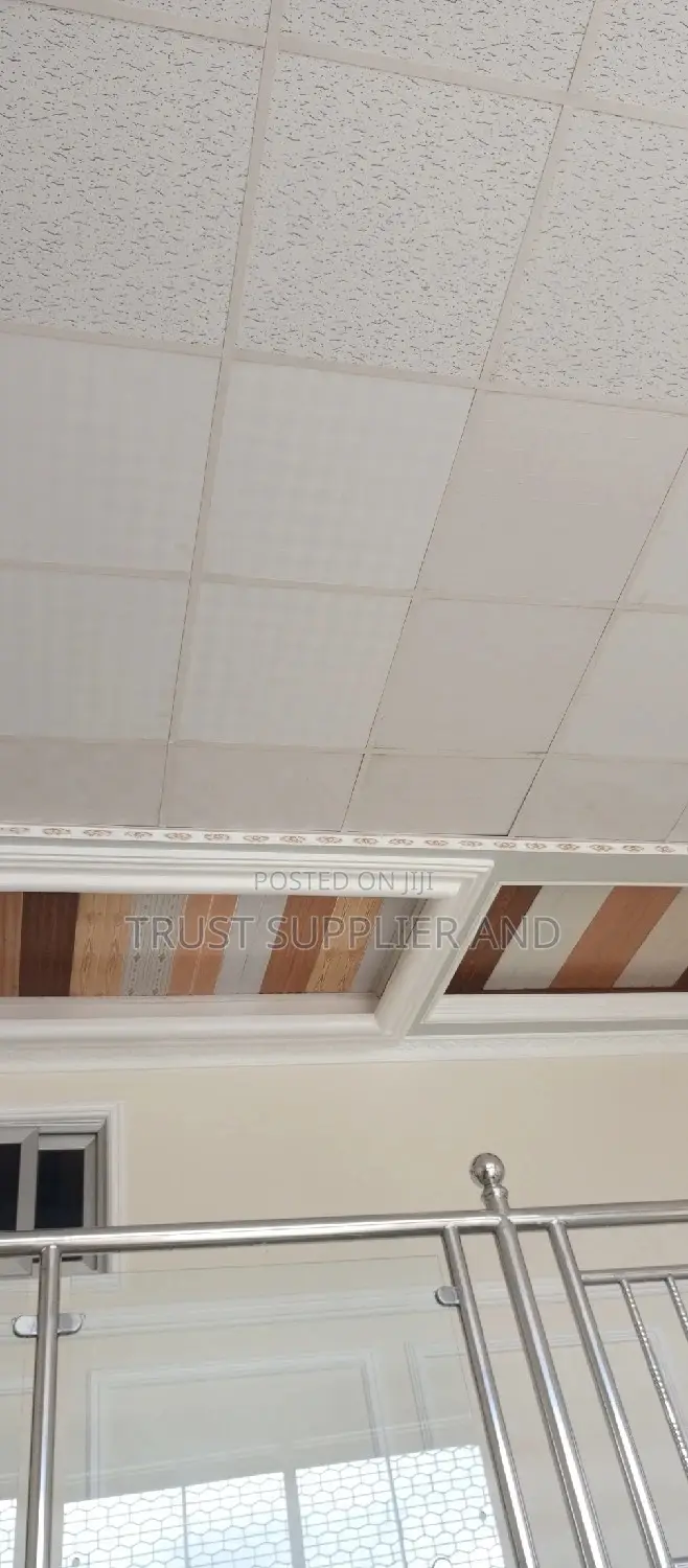Gypsum Ceiling and Suspended Ceiling Well Done