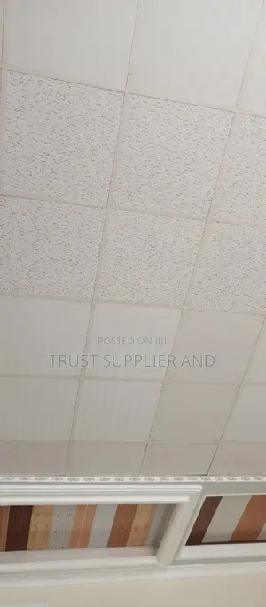 Gypsum Ceiling and Suspended Ceiling Well Done