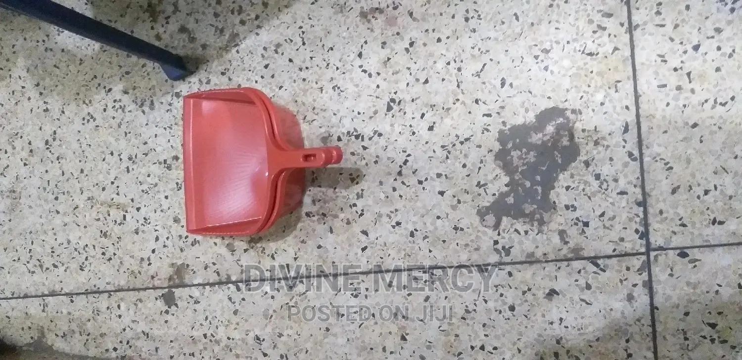 Single Dustpan