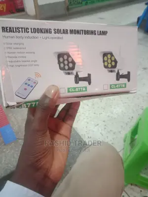 Solar Monitoring Lamp