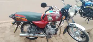 Bajaj Pulsar 150 2013 Gray