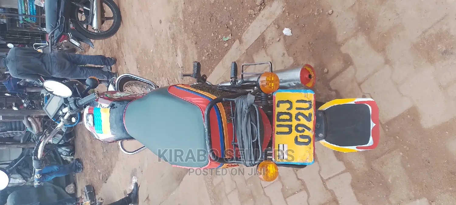 Bajaj Pulsar 150 2013 Gray