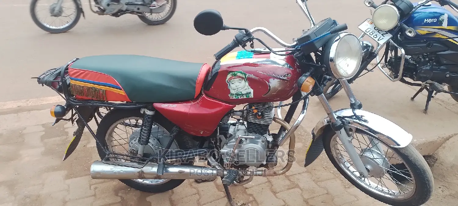 Bajaj Pulsar 150 2013 Gray